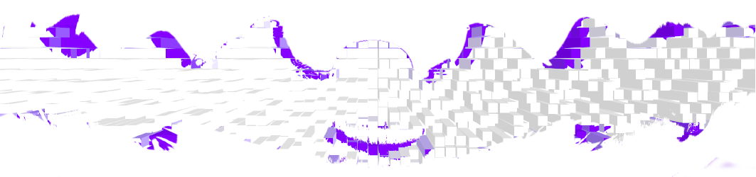 DisAss